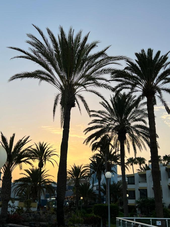 San Agustin Apartments , Close To The Beach, With Pool! San Bartolomé エクステリア 写真