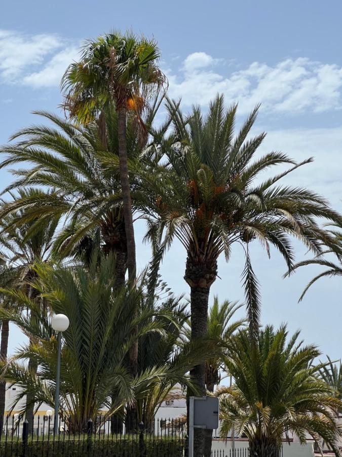 San Agustin Apartments , Close To The Beach, With Pool! San Bartolomé エクステリア 写真