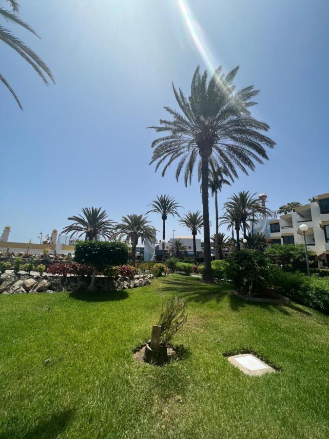 San Agustin Apartments , Close To The Beach, With Pool! San Bartolomé エクステリア 写真